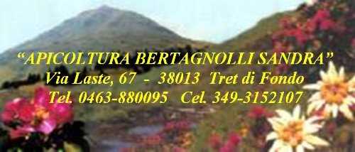 30 Apicoltura